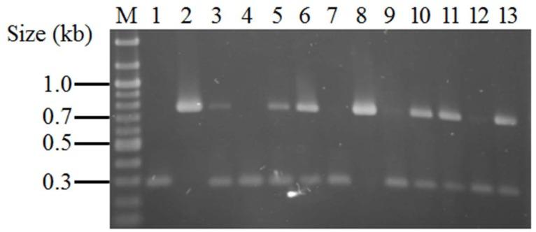 https://cdn.ncbi.nlm.nih.gov/pmc/blobs/fb97/4640548/1ded4e1f1914/pone.0142832.g002.jpg