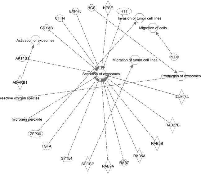 https://cdn.ncbi.nlm.nih.gov/pmc/blobs/fb97/8613644/c6282acf7d46/WJG-27-7080-g002.jpg