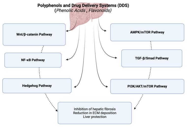 https://cdn.ncbi.nlm.nih.gov/pmc/blobs/fb99/11394827/774906c059e8/ijms-25-09346-g001.jpg