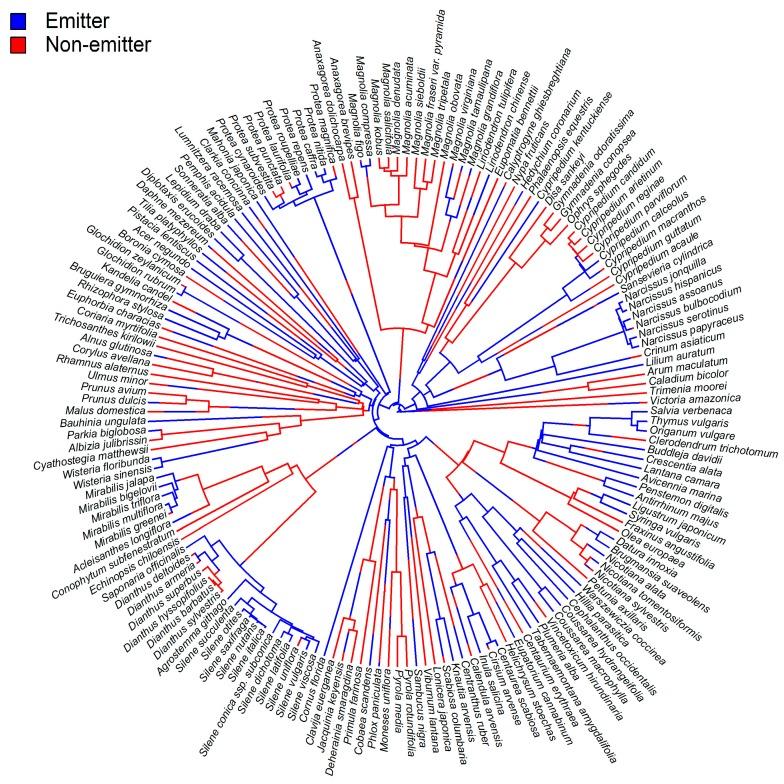 https://cdn.ncbi.nlm.nih.gov/pmc/blobs/fb9b/6152128/5237d5b60e11/molecules-22-01148-g003.jpg