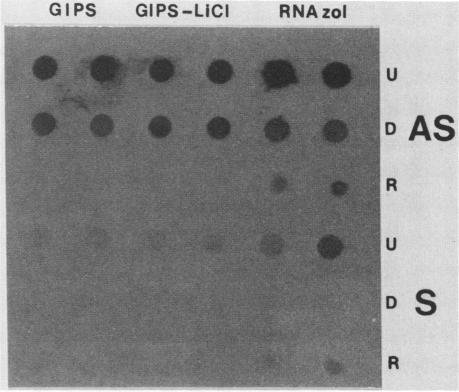 https://cdn.ncbi.nlm.nih.gov/pmc/blobs/fb9d/183458/1ecf0eb45f9e/aem00059-0155-b.jpg