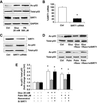 https://cdn.ncbi.nlm.nih.gov/pmc/blobs/fb9e/2844808/718bb579bb0a/zdb0041060570003.jpg