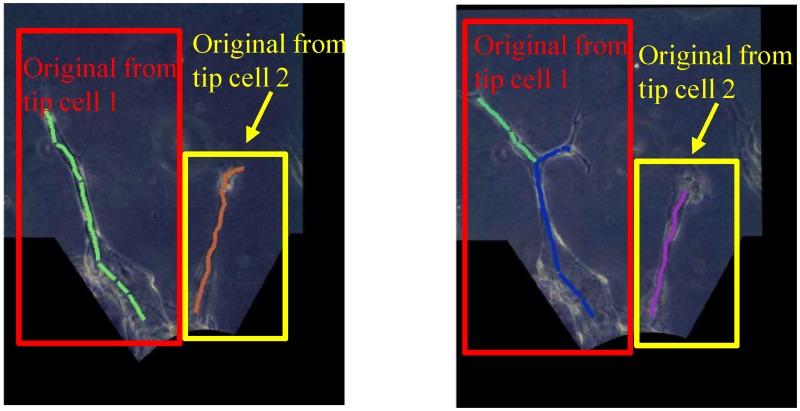 https://cdn.ncbi.nlm.nih.gov/pmc/blobs/fb9f/5685595/8e7b3ad6b573/pone.0186465.g011.jpg