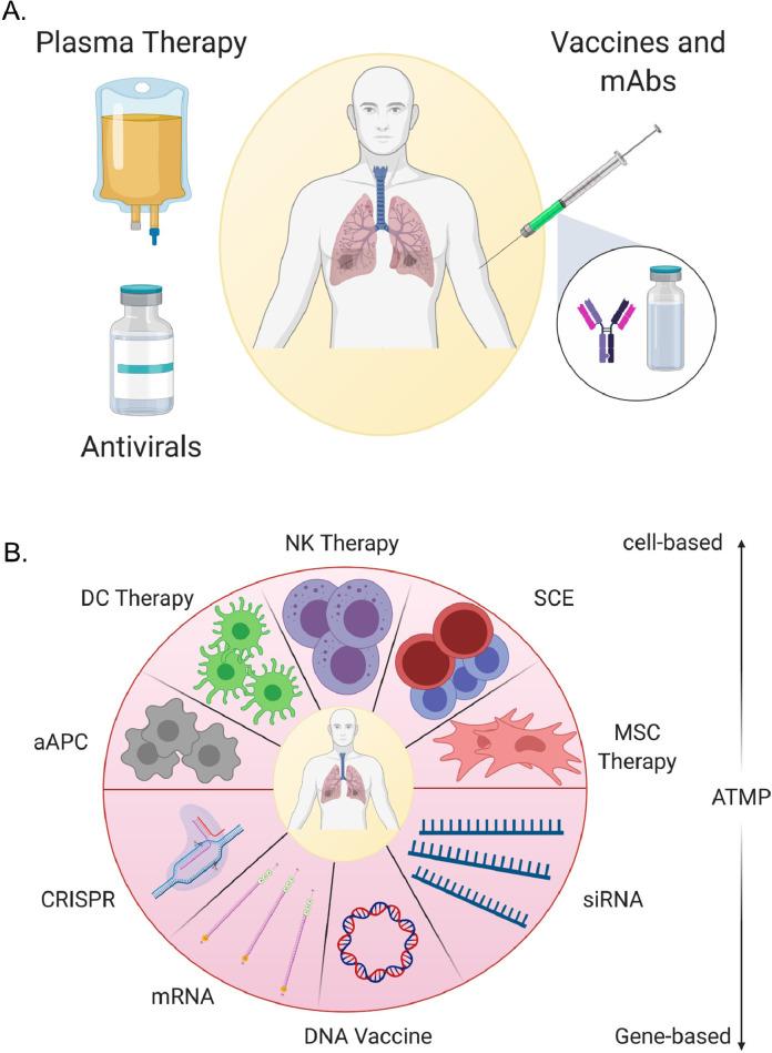 https://cdn.ncbi.nlm.nih.gov/pmc/blobs/fb9f/7582055/d85eb8375f95/gr4_lrg.jpg