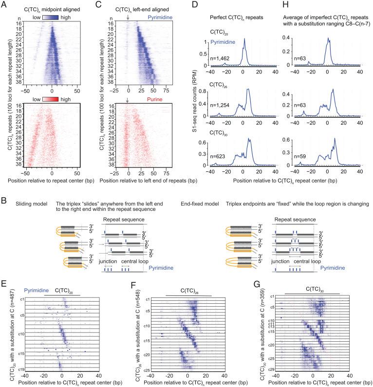 https://cdn.ncbi.nlm.nih.gov/pmc/blobs/fba0/9171763/619ed6a4aa12/pnas.2203967119fig04.jpg