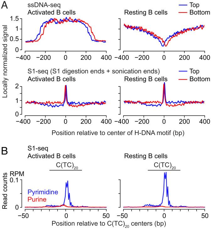 https://cdn.ncbi.nlm.nih.gov/pmc/blobs/fba0/9171763/b477cb465dbc/pnas.2203967119fig05.jpg