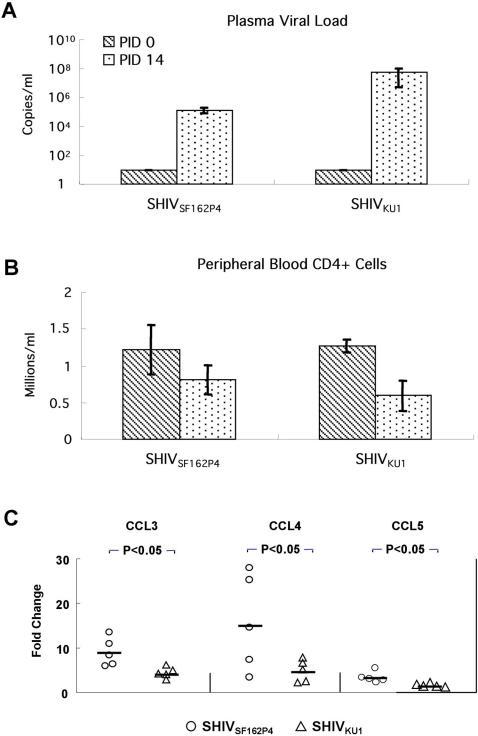 https://cdn.ncbi.nlm.nih.gov/pmc/blobs/fba1/1933601/7f14c7c5cfb4/pone.0000726.g006.jpg