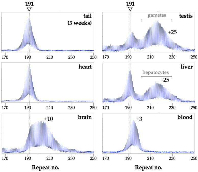 https://cdn.ncbi.nlm.nih.gov/pmc/blobs/fba2/6468611/e2d700c4d7b5/brainsci-09-00052-g001.jpg