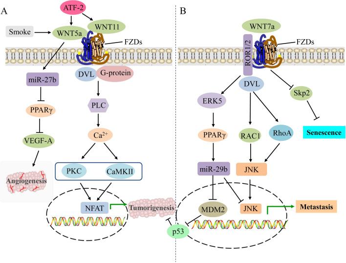https://cdn.ncbi.nlm.nih.gov/pmc/blobs/fba6/10366069/5df638d837aa/12672_2023_739_Fig2_HTML.jpg