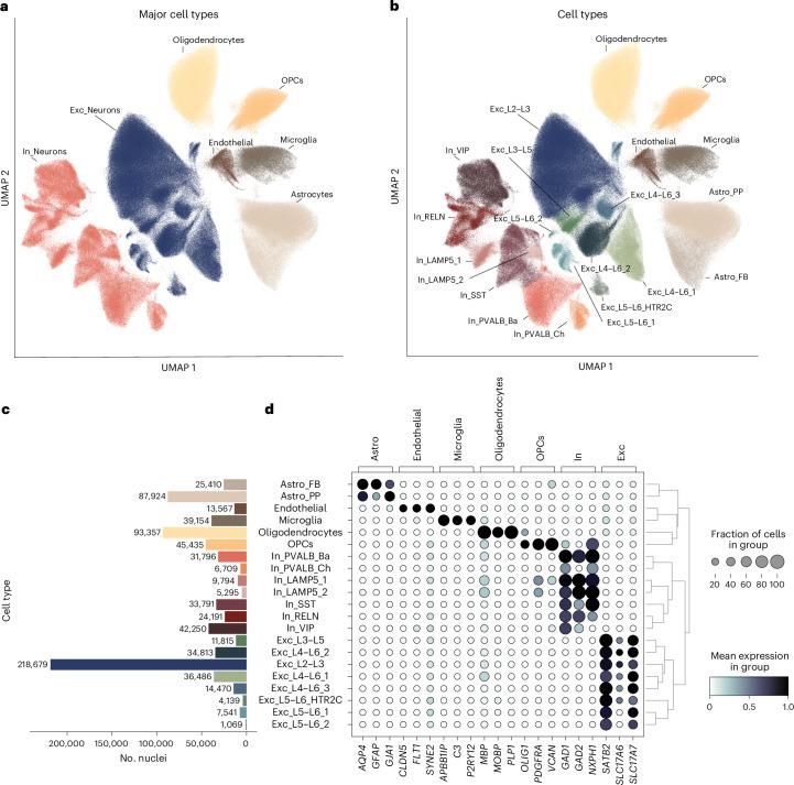 https://cdn.ncbi.nlm.nih.gov/pmc/blobs/fba6/11452345/1e4b4b460b66/41593_2024_1742_Fig1_HTML.jpg