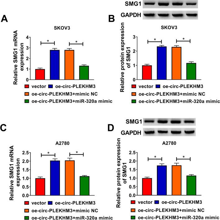https://cdn.ncbi.nlm.nih.gov/pmc/blobs/fba6/8594156/2f61bb99d16a/13048_2021_916_Fig8_HTML.jpg