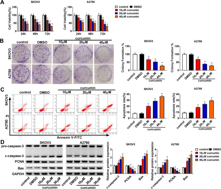 https://cdn.ncbi.nlm.nih.gov/pmc/blobs/fba6/8594156/4ae67a093b0d/13048_2021_916_Fig1_HTML.jpg