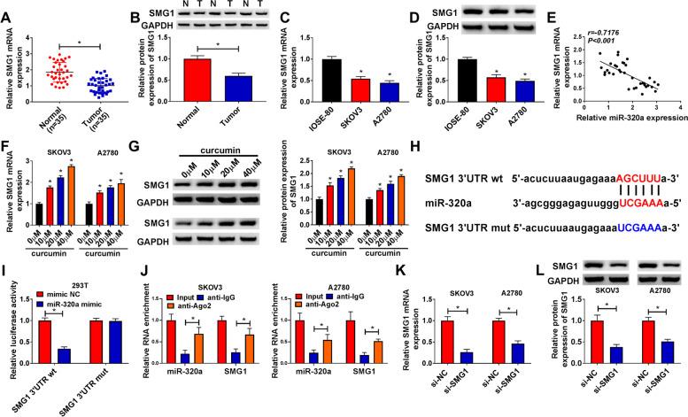 https://cdn.ncbi.nlm.nih.gov/pmc/blobs/fba6/8594156/919fbb6f16a9/13048_2021_916_Fig6_HTML.jpg