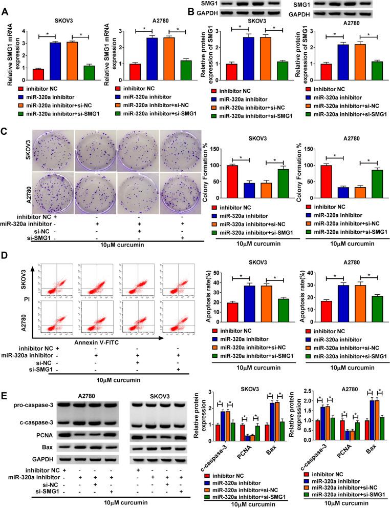 https://cdn.ncbi.nlm.nih.gov/pmc/blobs/fba6/8594156/e6a3c43fd09e/13048_2021_916_Fig7_HTML.jpg