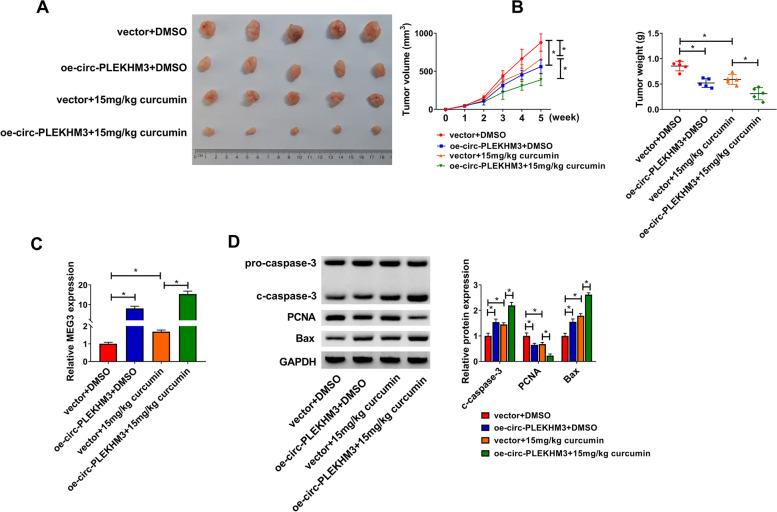 https://cdn.ncbi.nlm.nih.gov/pmc/blobs/fba6/8594156/ef35c4fc3c45/13048_2021_916_Fig3_HTML.jpg