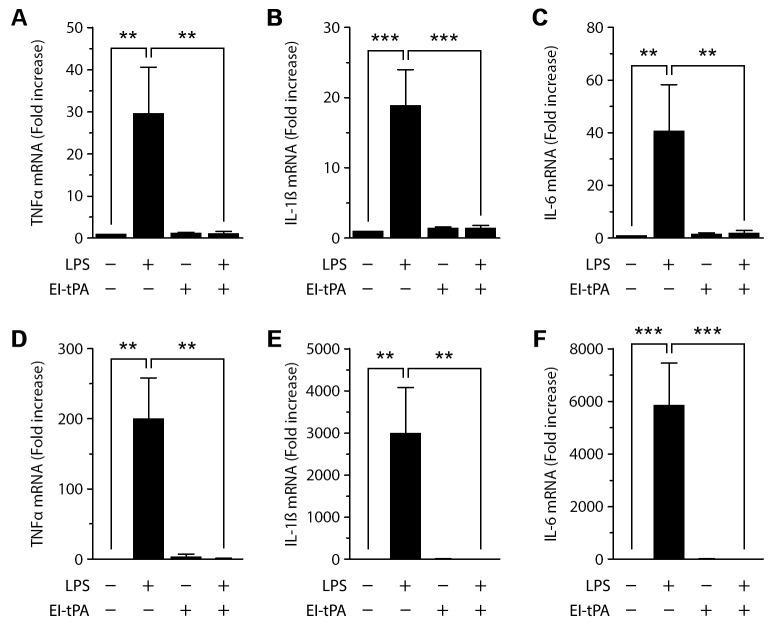https://cdn.ncbi.nlm.nih.gov/pmc/blobs/fba8/6837328/fefca2d1b2b8/pone.0224738.g006.jpg