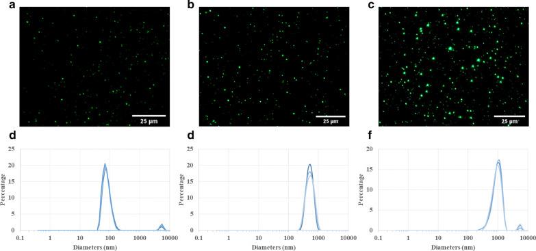 https://cdn.ncbi.nlm.nih.gov/pmc/blobs/fba9/7925719/310cbc57b05c/11671_2021_3498_Fig1_HTML.jpg
