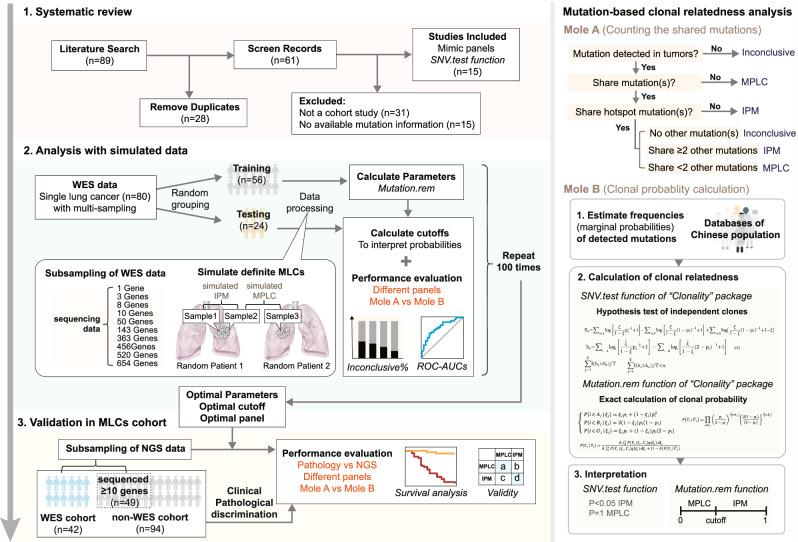 https://cdn.ncbi.nlm.nih.gov/pmc/blobs/fbab/11733135/46d575b24921/41698_2024_786_Fig1_HTML.jpg