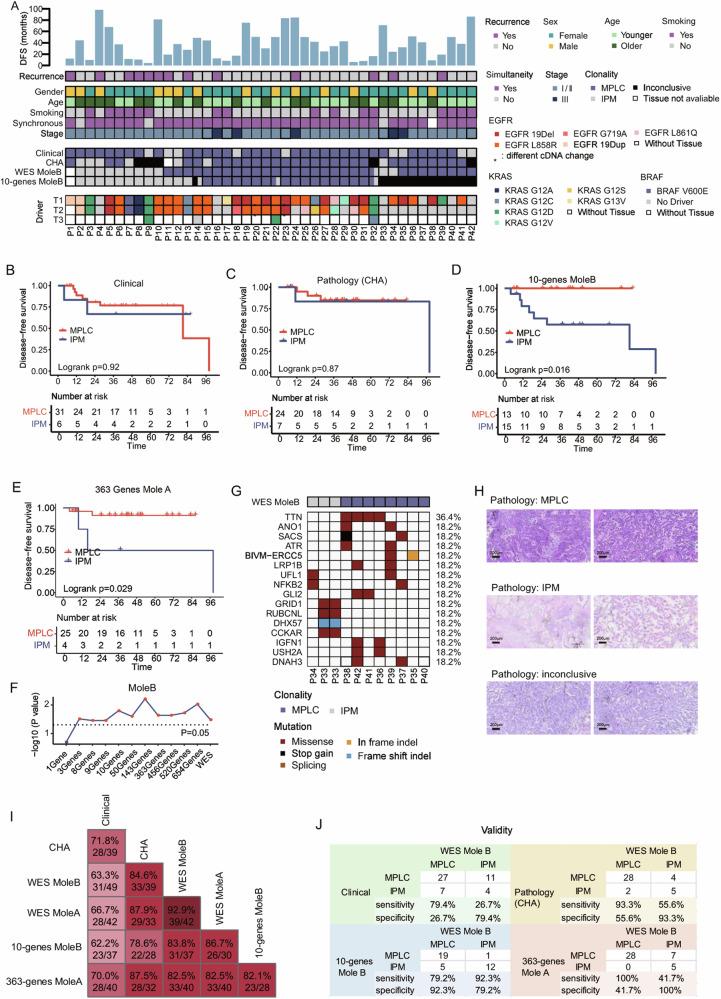 https://cdn.ncbi.nlm.nih.gov/pmc/blobs/fbab/11733135/4bfa893af53c/41698_2024_786_Fig4_HTML.jpg