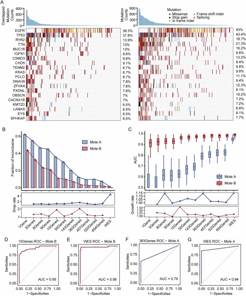 https://cdn.ncbi.nlm.nih.gov/pmc/blobs/fbab/11733135/bb53b6774c38/41698_2024_786_Fig3_HTML.jpg