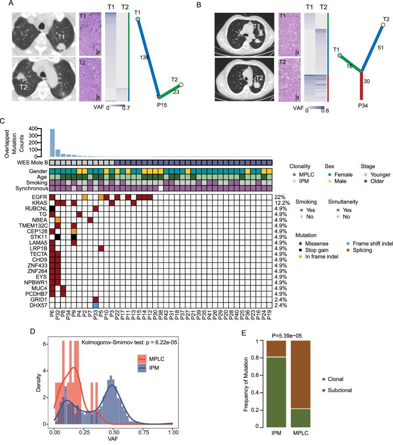 https://cdn.ncbi.nlm.nih.gov/pmc/blobs/fbab/11733135/c108c72e2f2e/41698_2024_786_Fig5_HTML.jpg