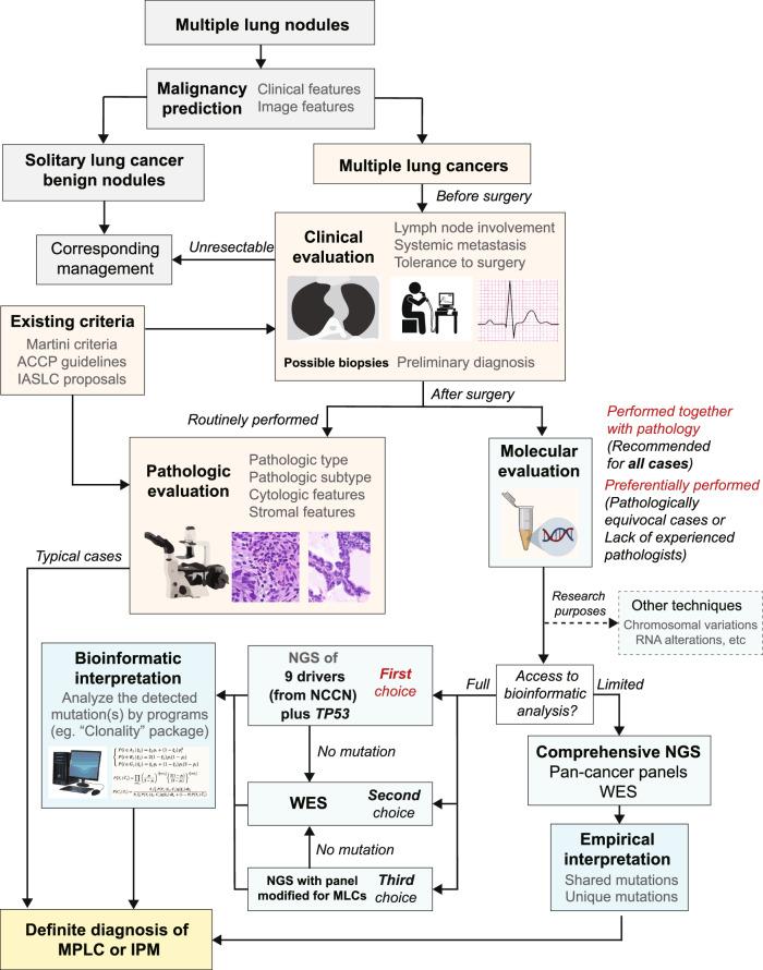 https://cdn.ncbi.nlm.nih.gov/pmc/blobs/fbab/11733135/cfa5fe694265/41698_2024_786_Fig7_HTML.jpg