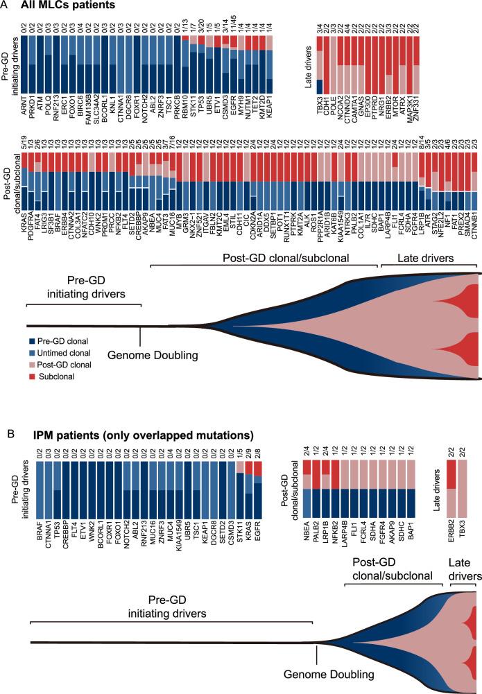 https://cdn.ncbi.nlm.nih.gov/pmc/blobs/fbab/11733135/f92861ada5a4/41698_2024_786_Fig6_HTML.jpg