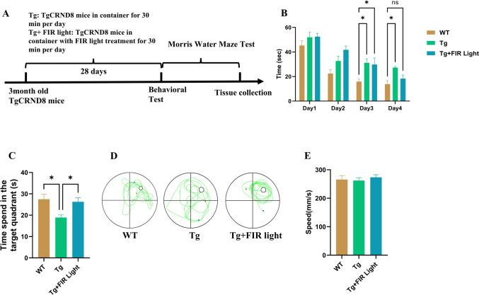 https://cdn.ncbi.nlm.nih.gov/pmc/blobs/fbab/12081534/533a577d79ea/12017_2025_8860_Fig1_HTML.jpg