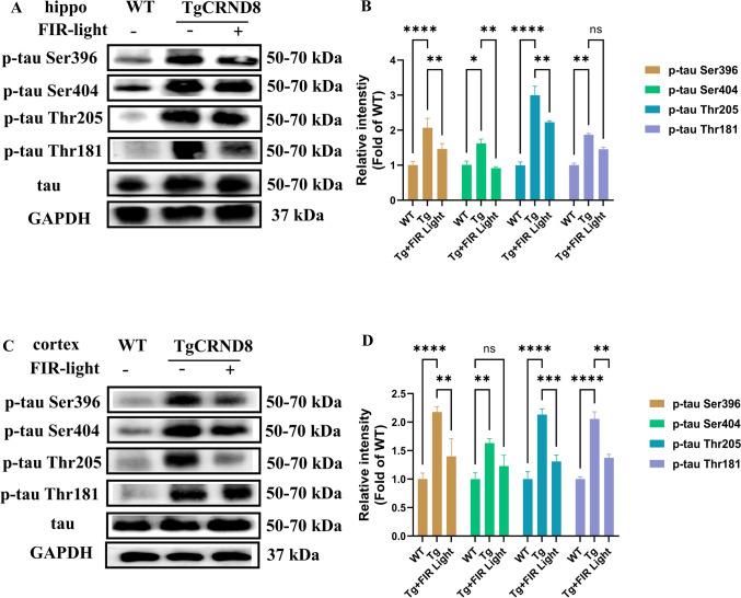 https://cdn.ncbi.nlm.nih.gov/pmc/blobs/fbab/12081534/5b21a9c2b6c5/12017_2025_8860_Fig4_HTML.jpg