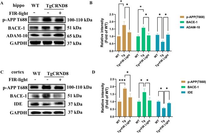 https://cdn.ncbi.nlm.nih.gov/pmc/blobs/fbab/12081534/62c1b6a7a23f/12017_2025_8860_Fig3_HTML.jpg