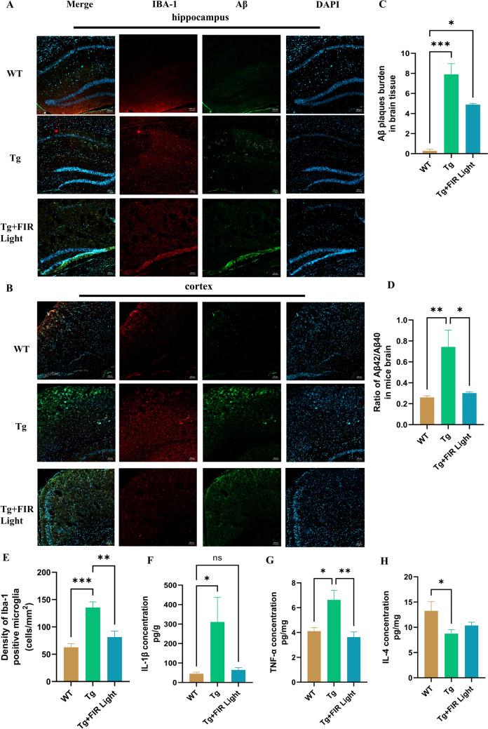 https://cdn.ncbi.nlm.nih.gov/pmc/blobs/fbab/12081534/f346e01ba379/12017_2025_8860_Fig2_HTML.jpg