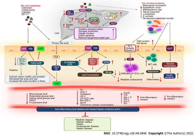https://cdn.ncbi.nlm.nih.gov/pmc/blobs/fbad/9827586/78b3471133d7/WJG-28-6846-g003.jpg