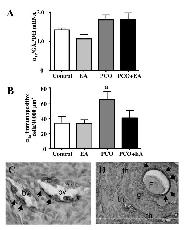 https://cdn.ncbi.nlm.nih.gov/pmc/blobs/fbaf/1175857/fe5bd9a89b0a/1477-7827-3-21-2.jpg