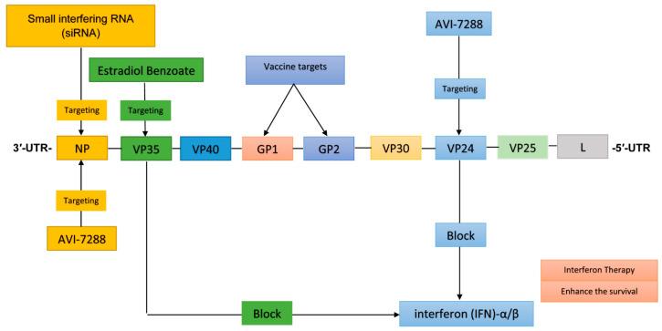 https://cdn.ncbi.nlm.nih.gov/pmc/blobs/fbaf/12030108/df01f1d37582/pathogens-14-00322-g002.jpg