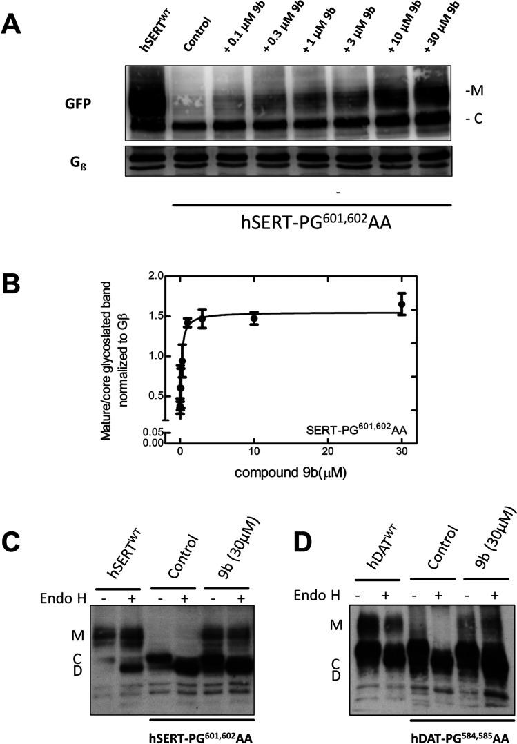 https://cdn.ncbi.nlm.nih.gov/pmc/blobs/fbb1/8033614/a7316d85addc/pt0c00102_0002.jpg