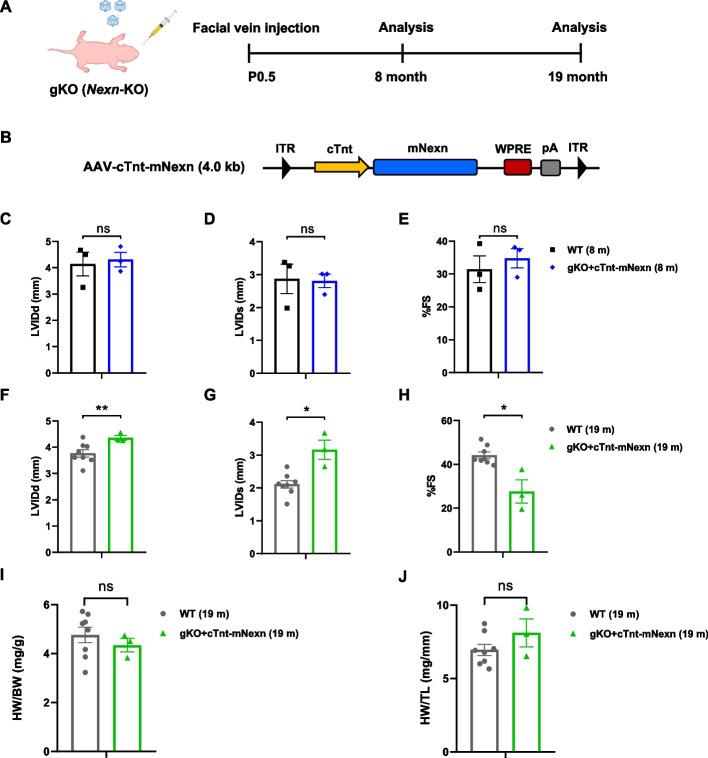 https://cdn.ncbi.nlm.nih.gov/pmc/blobs/fbb2/11112773/1f1618ecab3e/13059_2024_3283_Fig4_HTML.jpg
