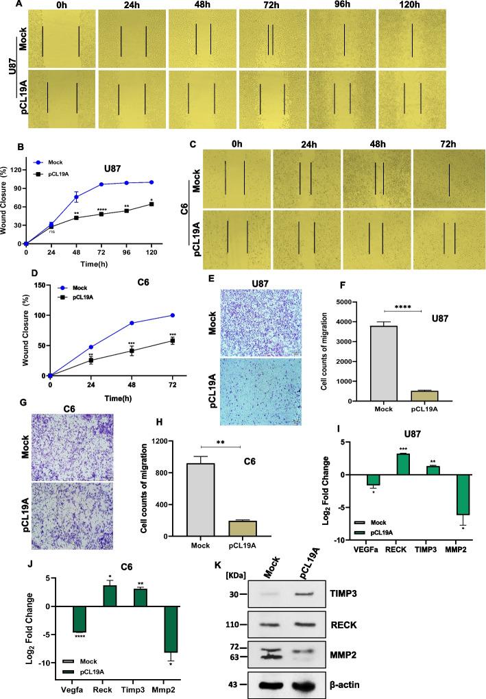 https://cdn.ncbi.nlm.nih.gov/pmc/blobs/fbb7/10763001/3e139b31c45d/12885_2023_11755_Fig4_HTML.jpg