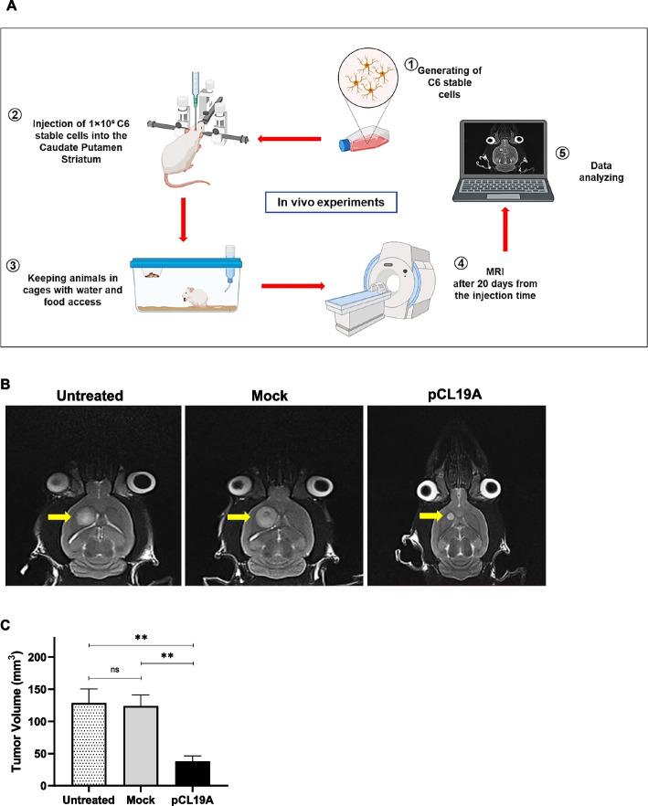 https://cdn.ncbi.nlm.nih.gov/pmc/blobs/fbb7/10763001/4e7f11c9eadc/12885_2023_11755_Fig6_HTML.jpg