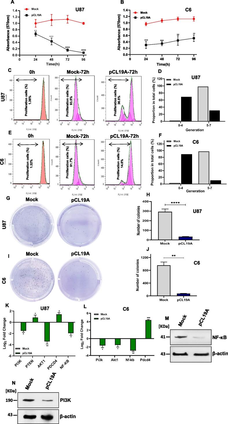 https://cdn.ncbi.nlm.nih.gov/pmc/blobs/fbb7/10763001/9b1d39d22edb/12885_2023_11755_Fig3_HTML.jpg