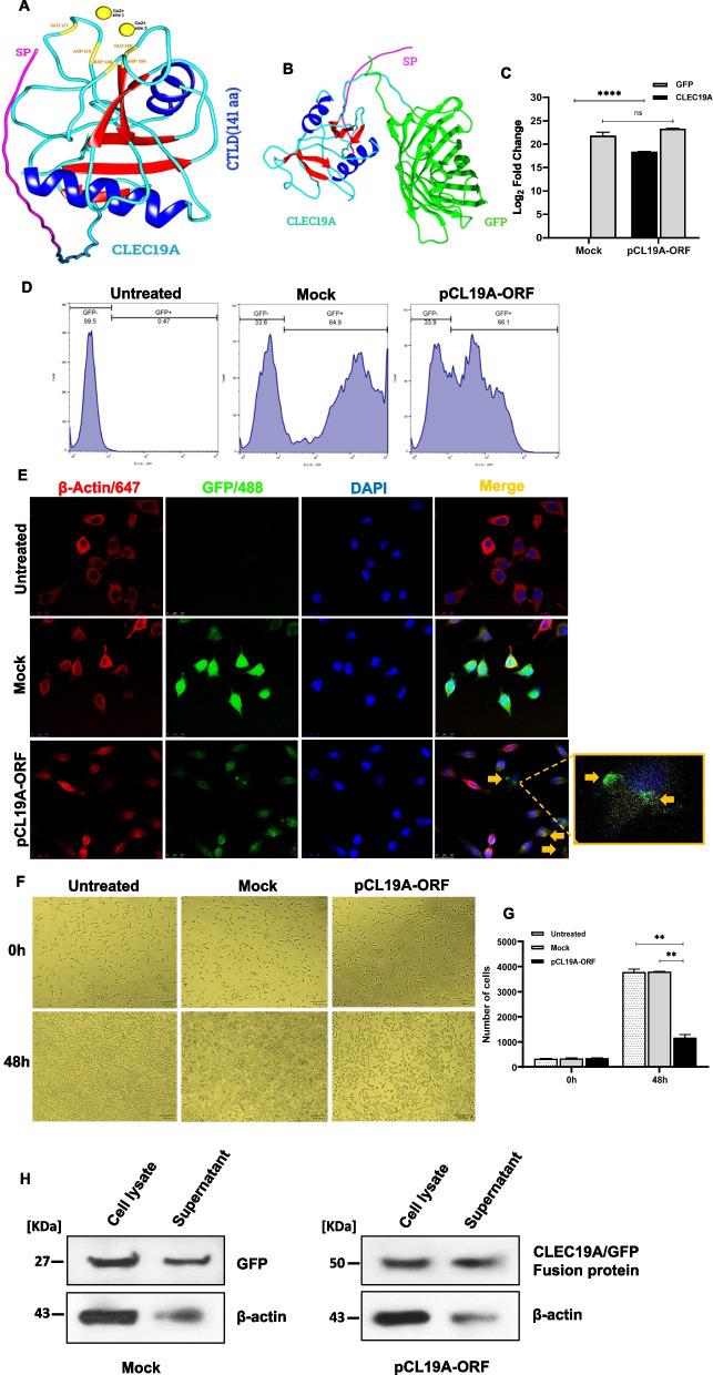 https://cdn.ncbi.nlm.nih.gov/pmc/blobs/fbb7/10763001/f2fc448e2b0a/12885_2023_11755_Fig1_HTML.jpg
