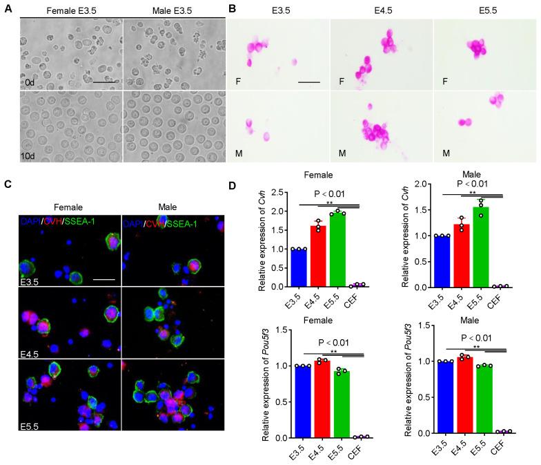 https://cdn.ncbi.nlm.nih.gov/pmc/blobs/fbb9/11541041/07bac6bdb4e4/ab-24-0283f1.jpg