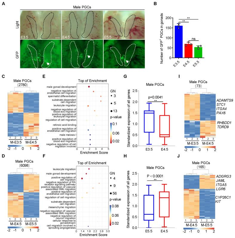 https://cdn.ncbi.nlm.nih.gov/pmc/blobs/fbb9/11541041/a5ac2d2fbdd7/ab-24-0283f2.jpg