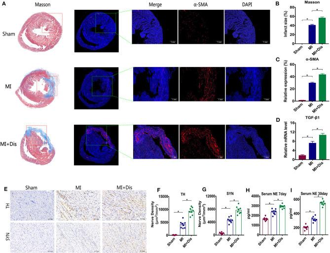 https://cdn.ncbi.nlm.nih.gov/pmc/blobs/fbb9/8032890/f8257b4f3d68/fcvm-08-668387-g0002.jpg