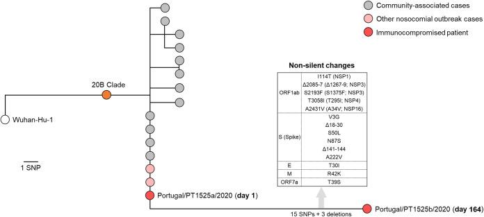 https://cdn.ncbi.nlm.nih.gov/pmc/blobs/fbb9/8386466/e62caadb78eb/msphere.00244-21-f001.jpg