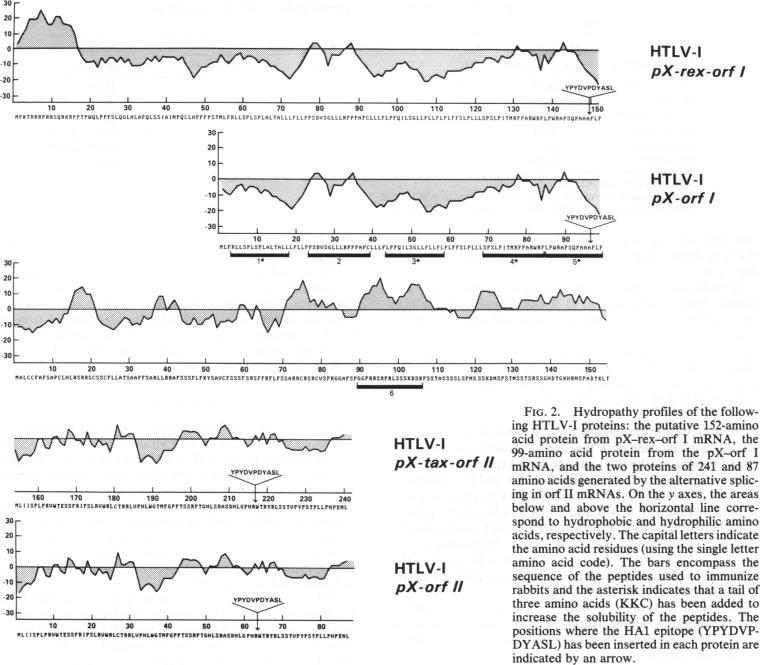https://cdn.ncbi.nlm.nih.gov/pmc/blobs/fbbb/50011/ce010e345483/pnas01092-0416-a.jpg