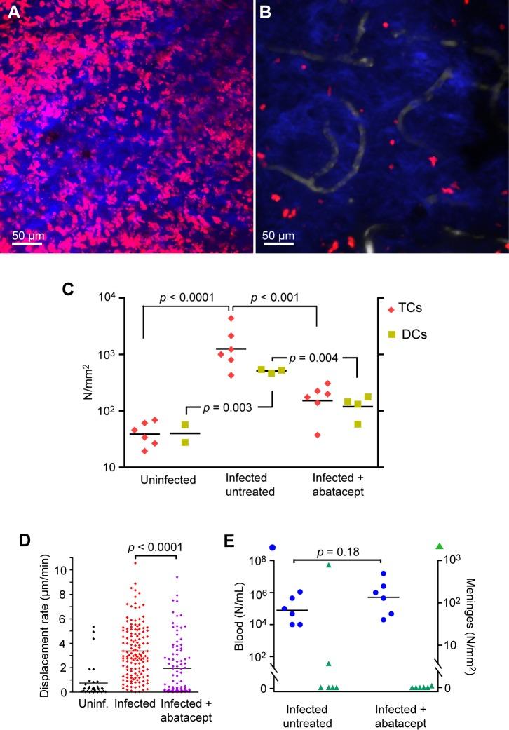 https://cdn.ncbi.nlm.nih.gov/pmc/blobs/fbbc/4400075/67f3cc8ac865/pntd.0003714.g007.jpg