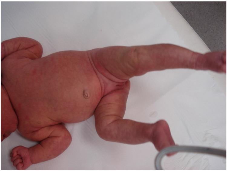 https://cdn.ncbi.nlm.nih.gov/pmc/blobs/fbbc/7828496/a72d5790d49e/biology-10-00054-g005.jpg
