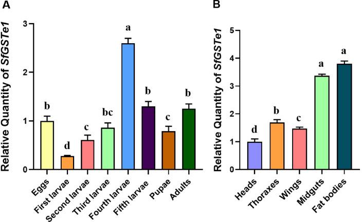 https://cdn.ncbi.nlm.nih.gov/pmc/blobs/fbbf/12141698/5ed5109af1af/41598_2025_4684_Fig6_HTML.jpg