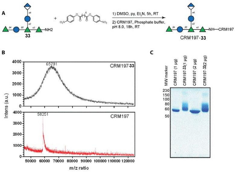 https://cdn.ncbi.nlm.nih.gov/pmc/blobs/fbc0/8154330/1703b4fa473b/cr0c01210_0015.jpg