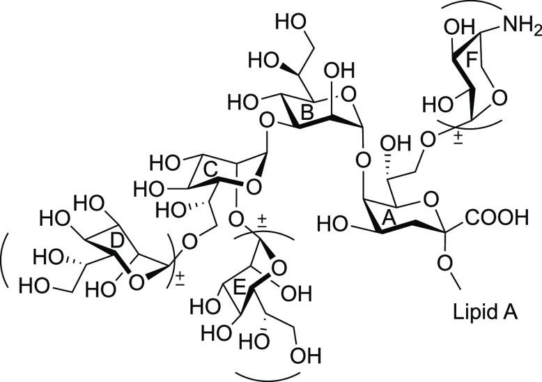 https://cdn.ncbi.nlm.nih.gov/pmc/blobs/fbc0/8154330/58f07db02002/cr0c01210_0004.jpg